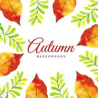 Autumn Leaves Background vector