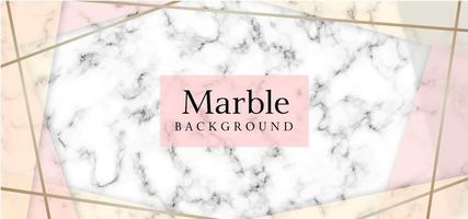 Modern Abstract Marble Background  vector