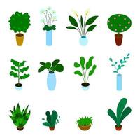 Isometric vector set of potted plants
