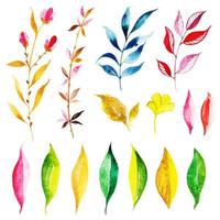 Hermosa colección de hojas de otoño de acuarela vector