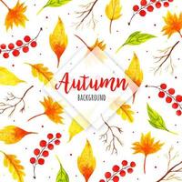 Beautiful Watercolor Autumn Leaves Background vector