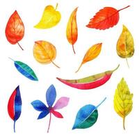Colección de hojas de otoño de acuarela vector