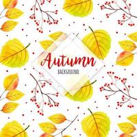 Yellow Autumn Leaves Background vector