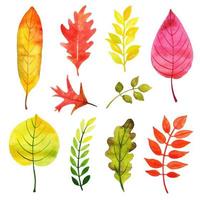 Colección de colores cambiantes de hojas vector