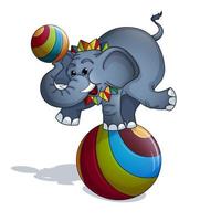 Un elefante entrenado que balancea en bola colorida vector