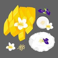set of Thai sweet mango with sticky rice  vector