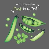 Set of A fresh Pea in the Pod vector