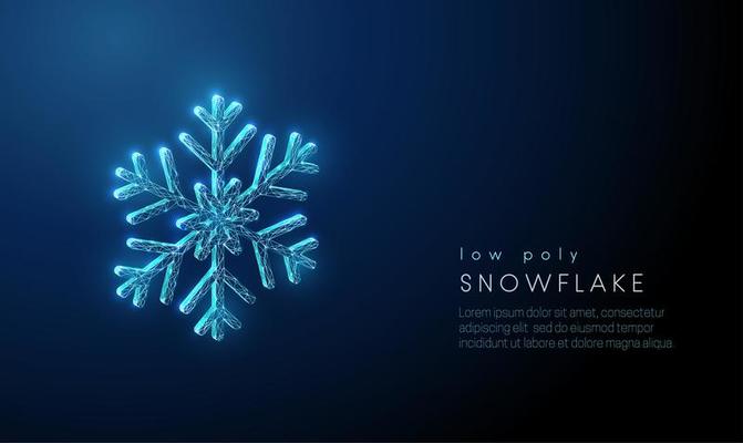 Abstract snowflake. Low poly style design.