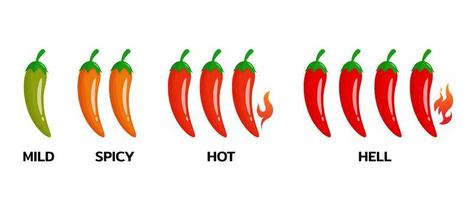 Spicy level of red hot pepper vector