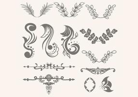 floral ornament collection vector