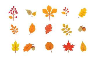 Conjunto de hojas de otoño vector