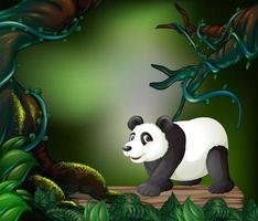 Wild panda in the forest vector