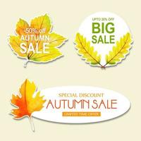 Beautiful Watercolor Autumn Labels Collection vector