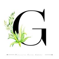 Alphabet Letter G with Watercolor cactus and Leaves  vector