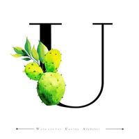 Alphabet Letter U with Watercolor cactus and Leaves  vector