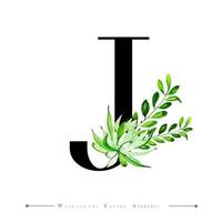 Alphabet Letter J with Watercolor cactus and Leaves  vector