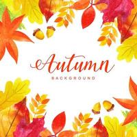 Beautiful Watercolor Autumn Leaves Background vector