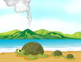 Una playa volcánica y tortugas vector