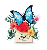 etiqueta con sandía tropical y mariposa con plantas vector