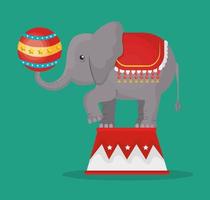 Elephant circus show icon vector