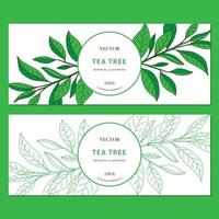 Árbol de té. Conjunto de 2 banners web dibujados a mano horizontal con hierbas aisladas sobre fondo blanco. vector