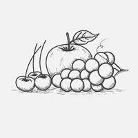 Line art of fruit cherries and grapes vector