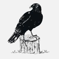 Hand drawn Black Raven on tree stump vector