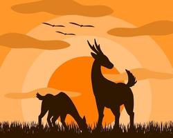 Two deer, mother and child are standing eating grass in the meadow at sunset vector