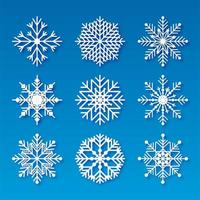 Decorative christmas snowflakes set elements design vector