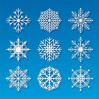 Decorative christmas snowflakes set elements design vector