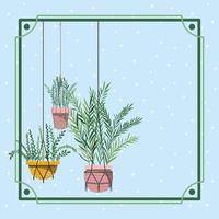 frame with houseplants hanging in macrame vector