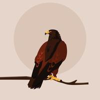 imposing hawk in the branch vector