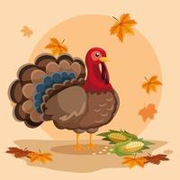 turkey with cobs of thanksgiving day vector