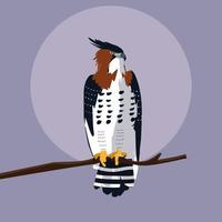 imposing hawk in the branch vector