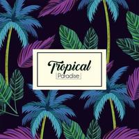 tropical label and leaves plants background vector