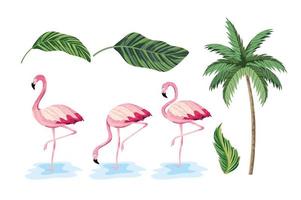 set exotic leaves and tropical palm tree vector