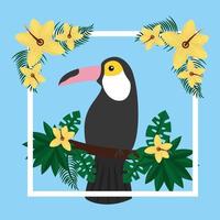 tropical exotic toucan bird on tree branch flowers vector
