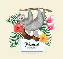 Sloth with tropical coconut  vector