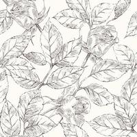 Sketch roses pattern vector