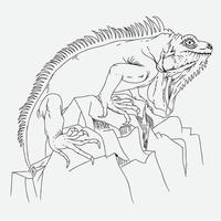 Iguana lizard hand drawn illustration