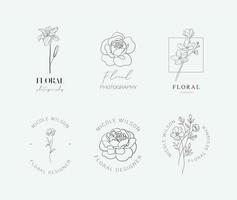 Conjunto de logotipo floral vector