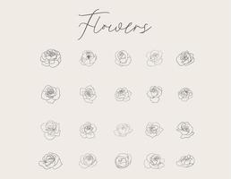 Hand Drawing  Flowers Set vector
