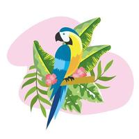 parrot with tropical plants leaves in the summer vector