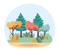 pines and trees with branches leaves and bushes vector