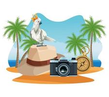 Summer vacations and beach cartoons. vector