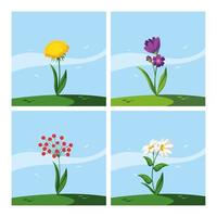 set of beautiful spring flowers vector