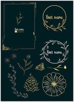 floral hand drawn frames and scroll elements vector