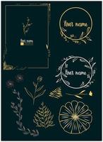 floral hand drawn frames and scroll elements vector