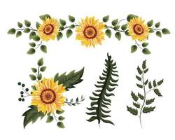 set exotic sunflowers plants with branches leaves vector