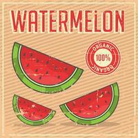 Watermelon Vintage Retro Signage  vector